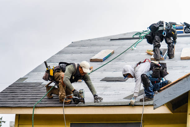 Professional Roofing technician working in Frankfort, MI